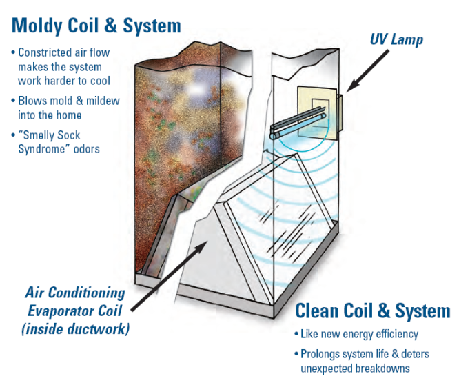 Schedule your  replacement in  AL today.